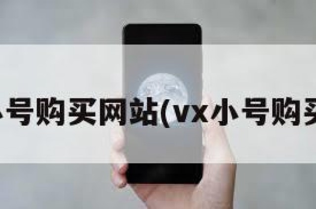 微信小号购买网站(vx小号购买网站)